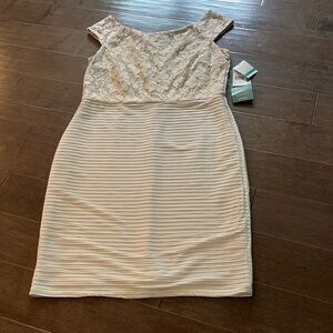 Lace Bodice Cream Dress New with Tags